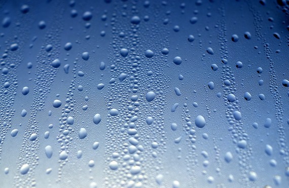 窓掃除で新しい光を取り戻そう！