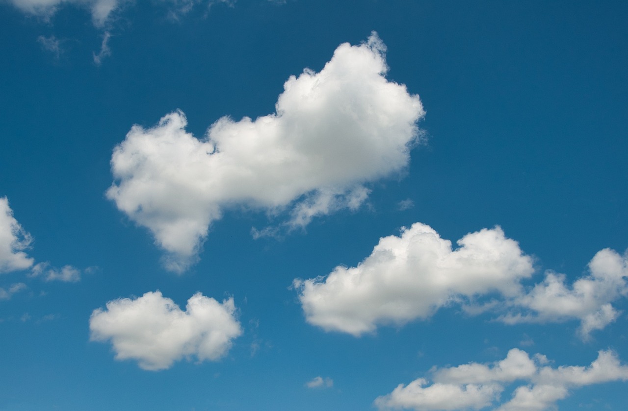 お客様の声と実績